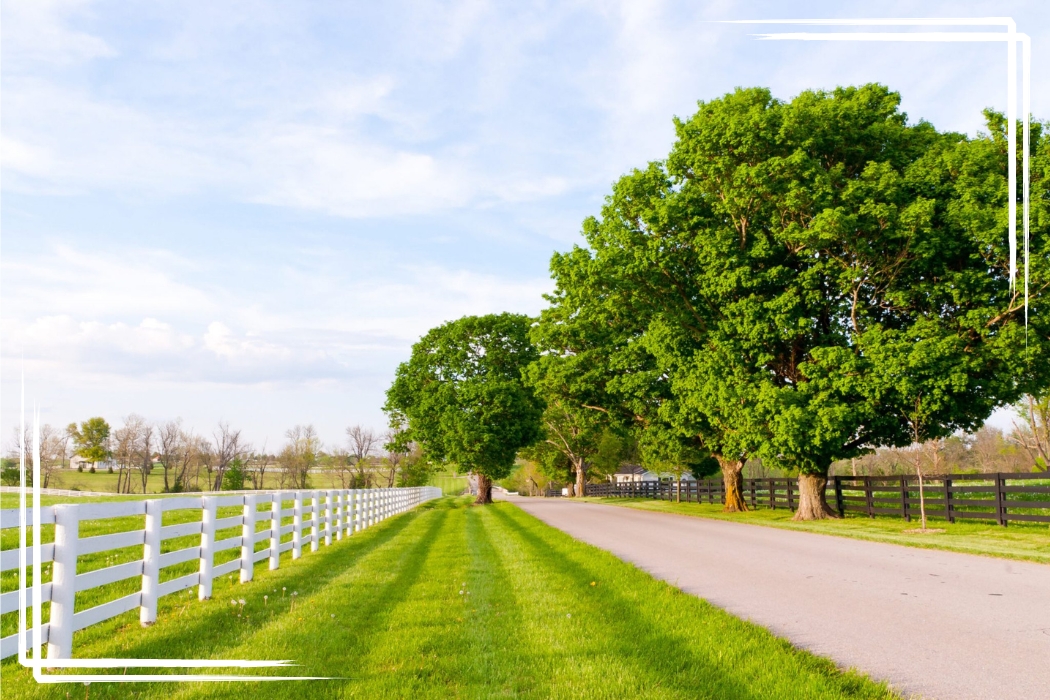 Ranch Land for sale Texas