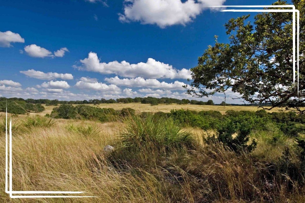 Beautiful Hill Country Ranch Land for Sale in TX