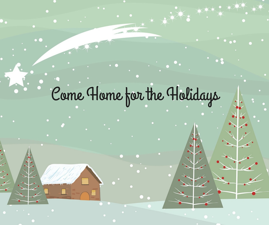 Come Home for the Holidays Winter Image