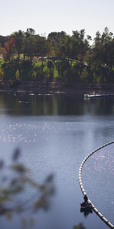 lake poway sunny afternoon