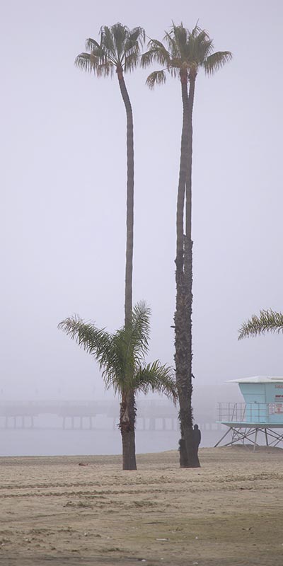 long beach ca pier on a foggy morning