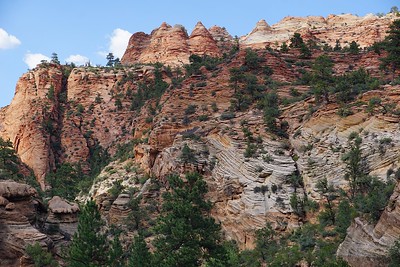 7 Things to Do in Zion National Park Besides Hiking