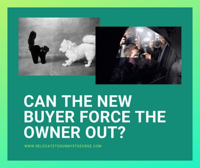 Help! The New Buyer Keeps Harassing Me!