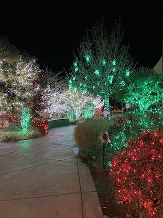 Red Hills Desert Garden Christmas lights