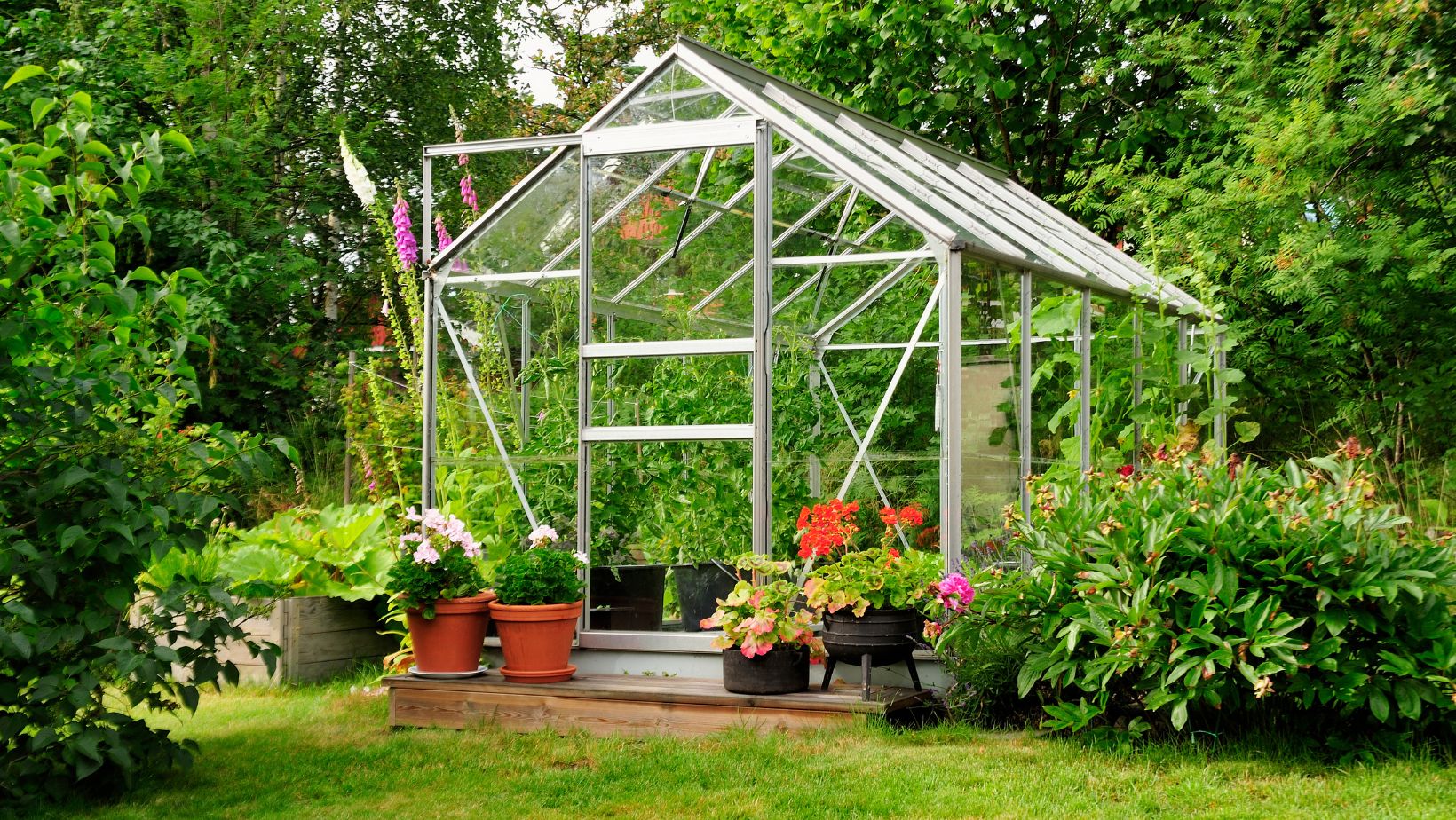 Decorative Greenhouse Installation,