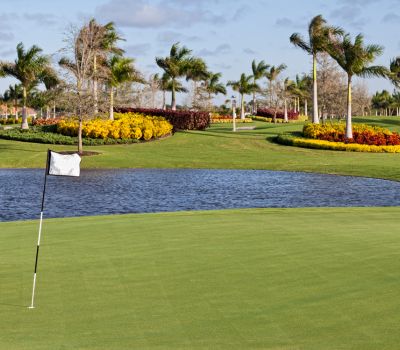 Active 55+ Golf