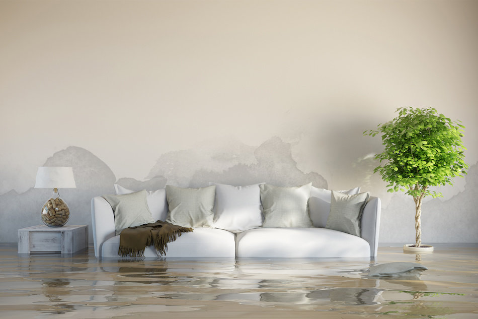 Flood Waters in Home