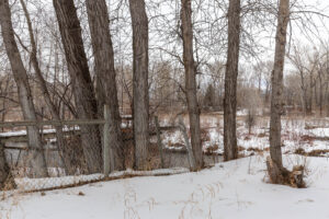 Creek near 9176 River Road in Bozeman MT!