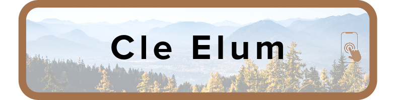 Cle Elum Community Listings