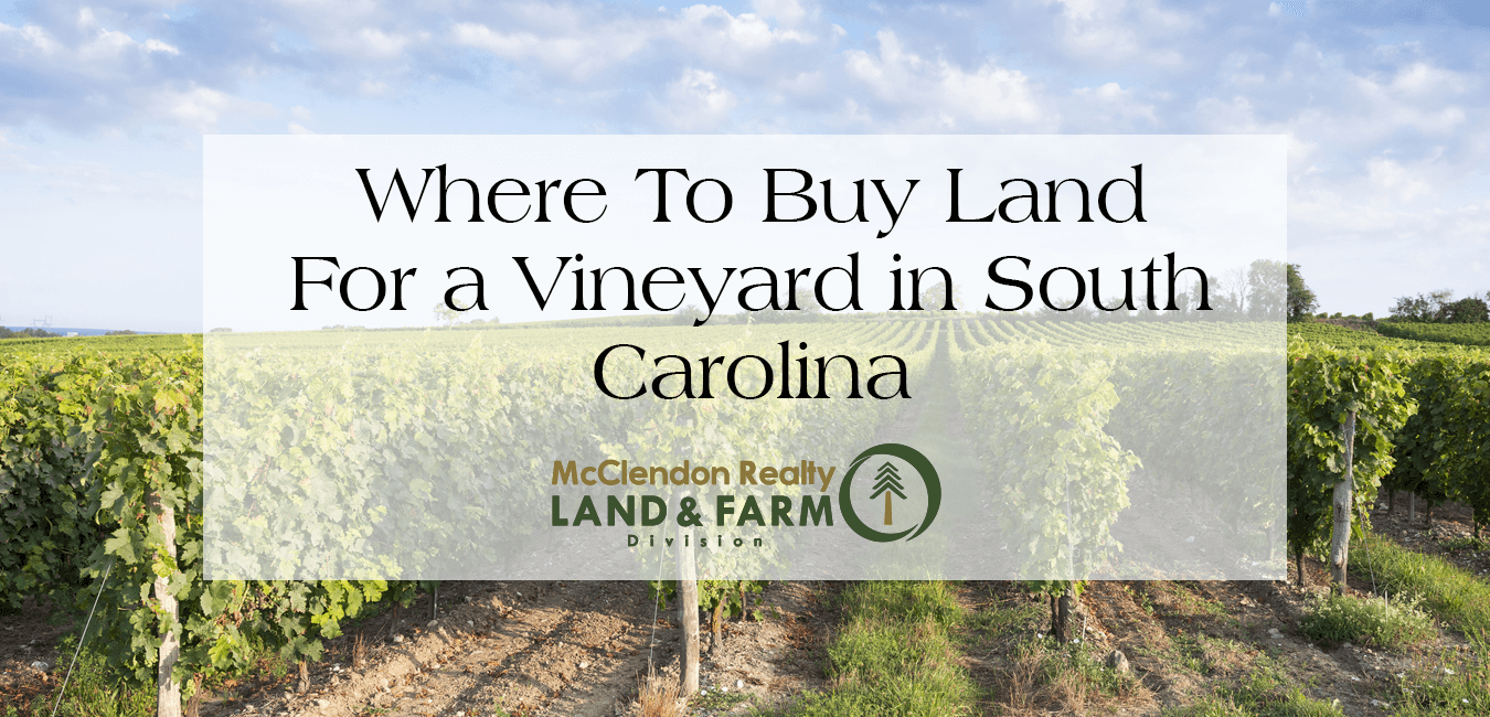 Best Place To Buy Land In South Carolina