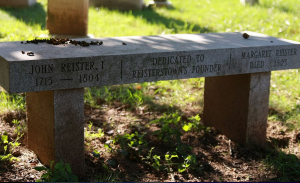 bench for resting