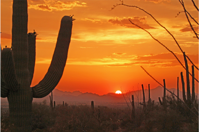 western arizona desert at sunset