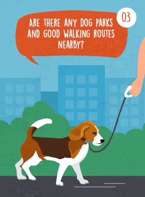 Are there any dog parks and good walking routes nearby