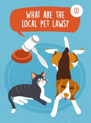 What are the local pet laws