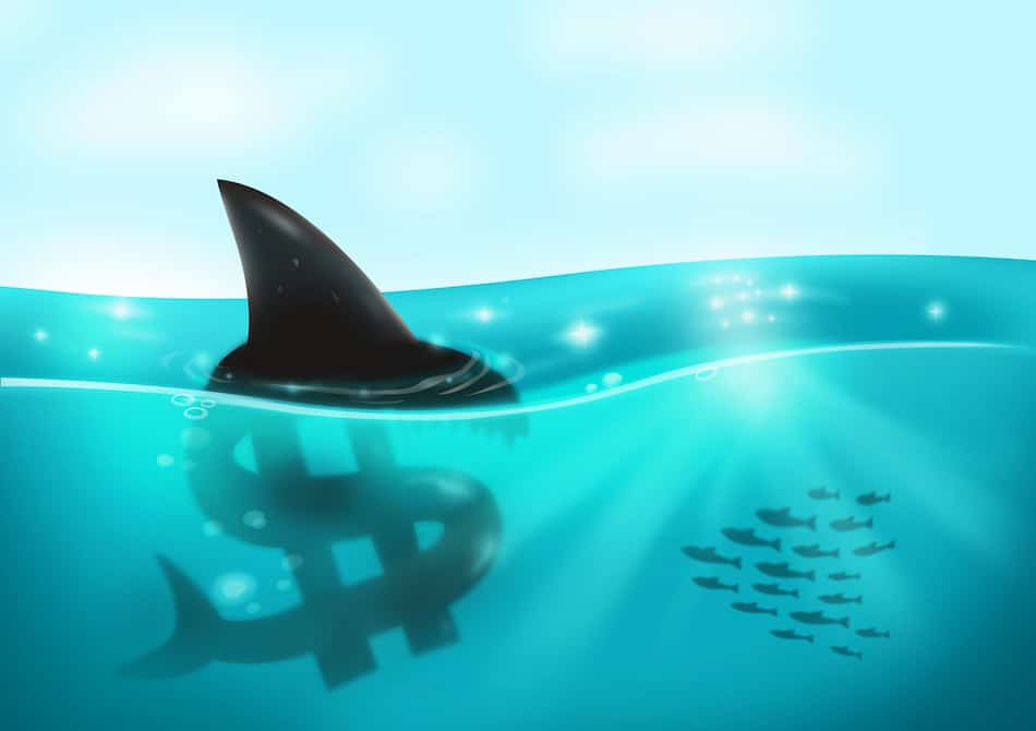 Predatory Lender or Loan Shark