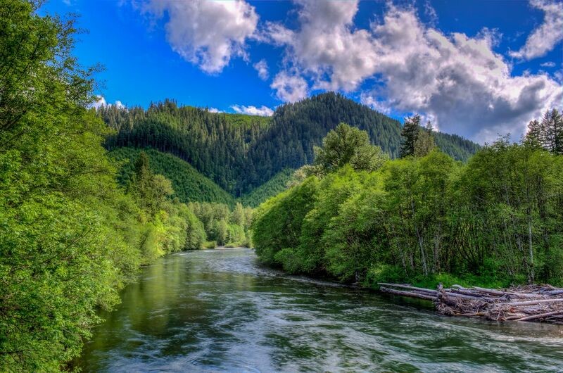 picture of mckenzie river in lane county oregon 