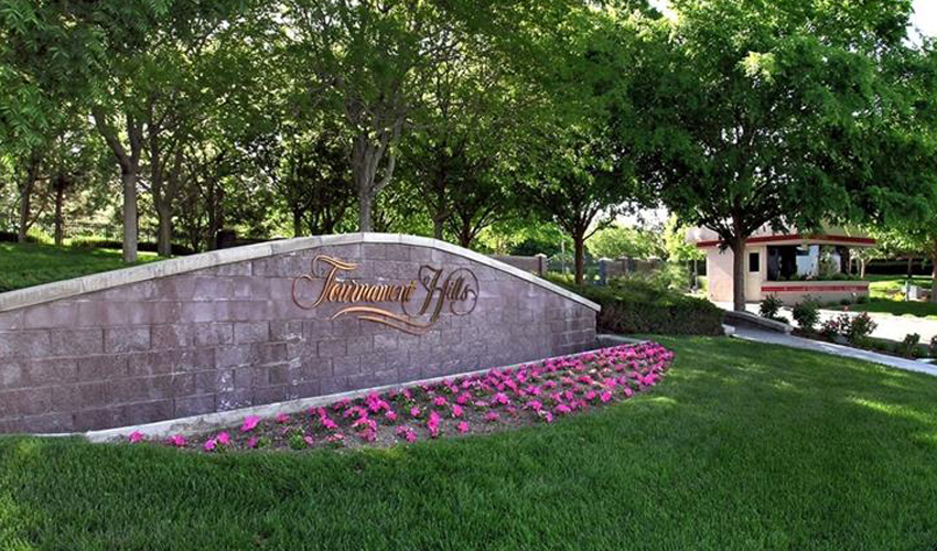 11+ TOURNAMENT HILLS Las Vegas Homes for Sale 1 7028828240