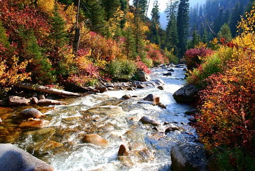river_payette_idaho_south_fork_fall_500_01