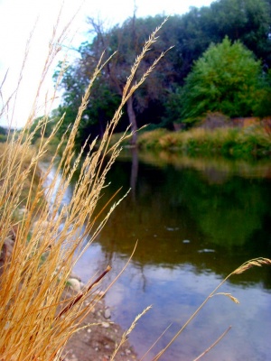 The View of an Idaho Canal