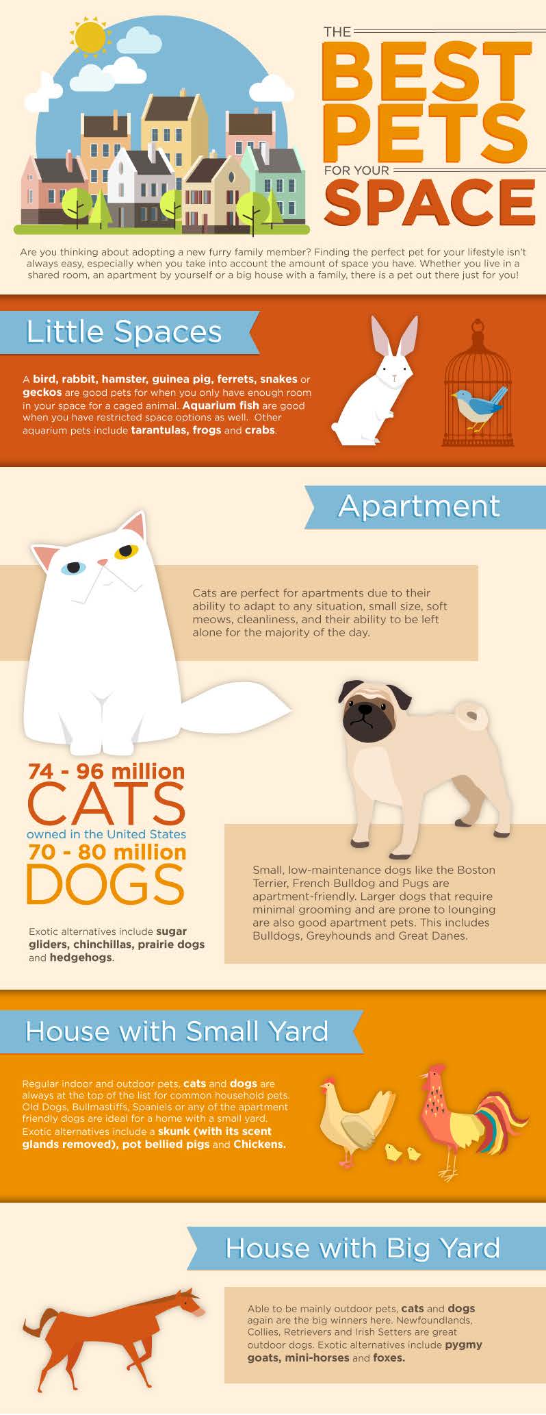 Best dogs for apartments best sale and cats