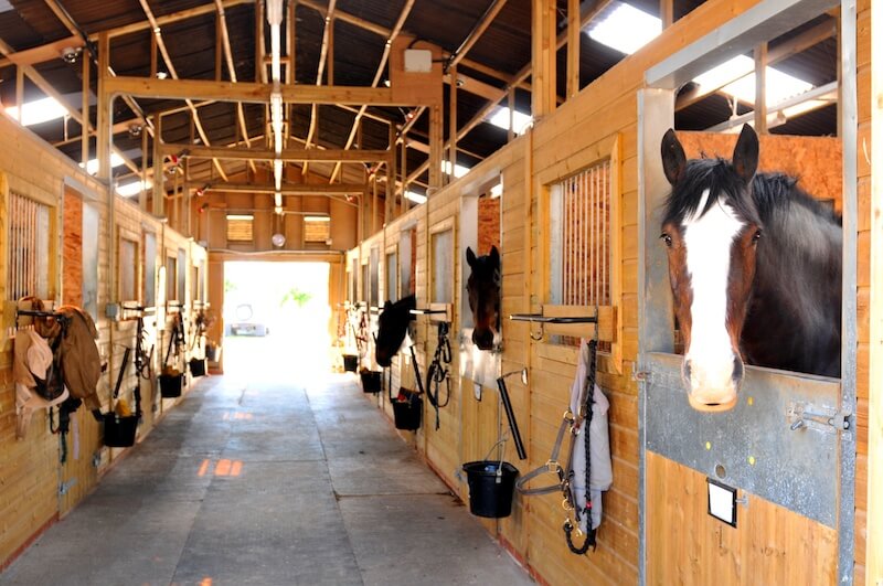 horse stables to visit near me