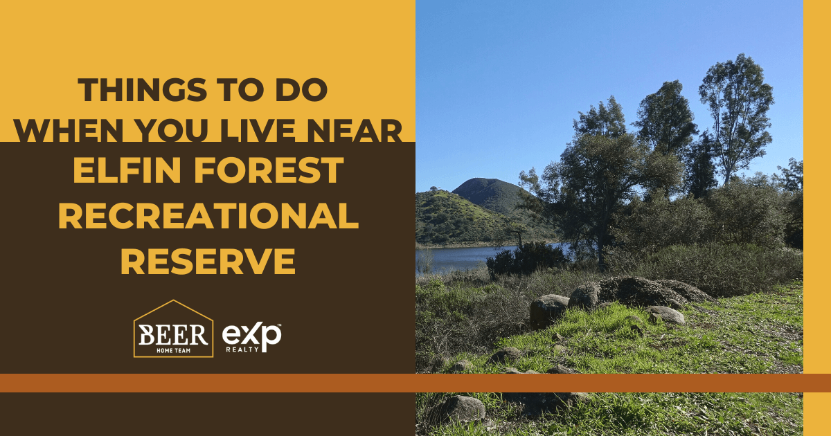Things to Do When You Live Next to Elfin Forest Recreational Reserve