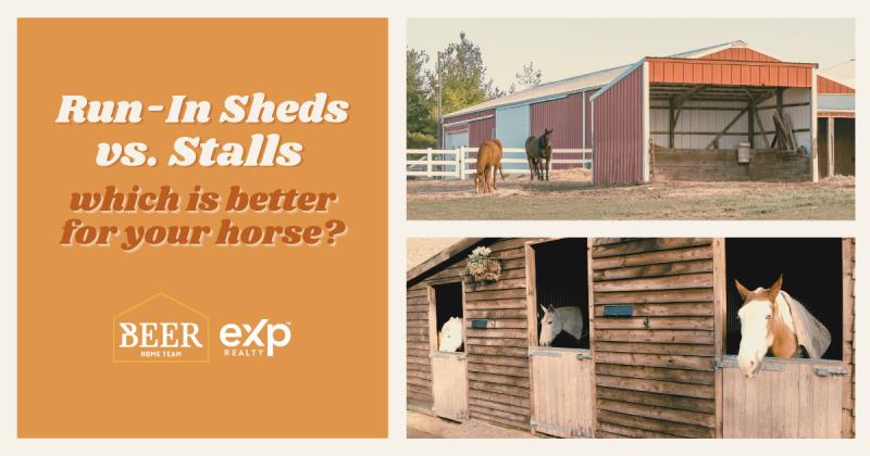 Should You Use a Run-In Shelter or Stalls?