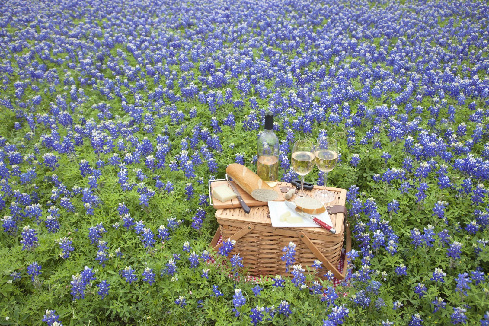 Hill country wine on sale tours