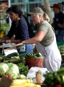 Sarasota Farmers Market