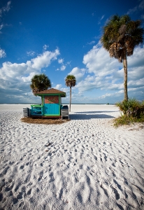 Siesta Key Property