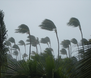 Florida Storm