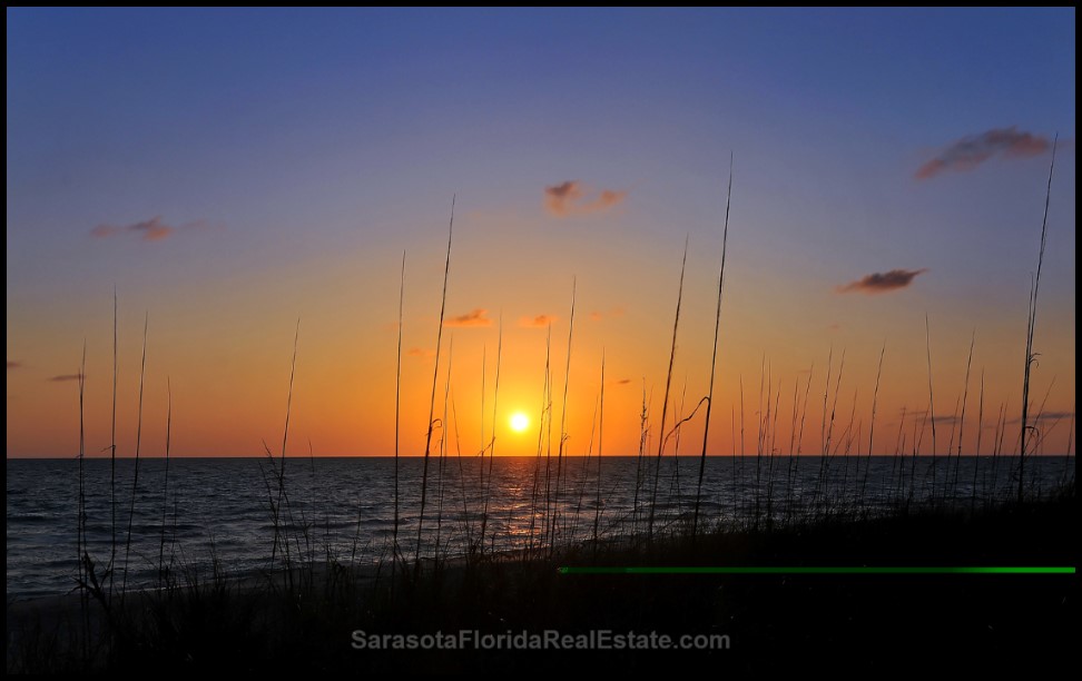 Venice Florida Waterfront Real Estate