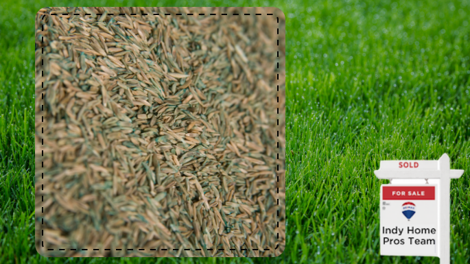 grass seeds with picture of a lawn