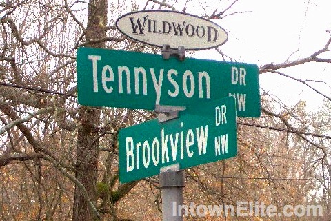Wildwood Atlanta homes for sale