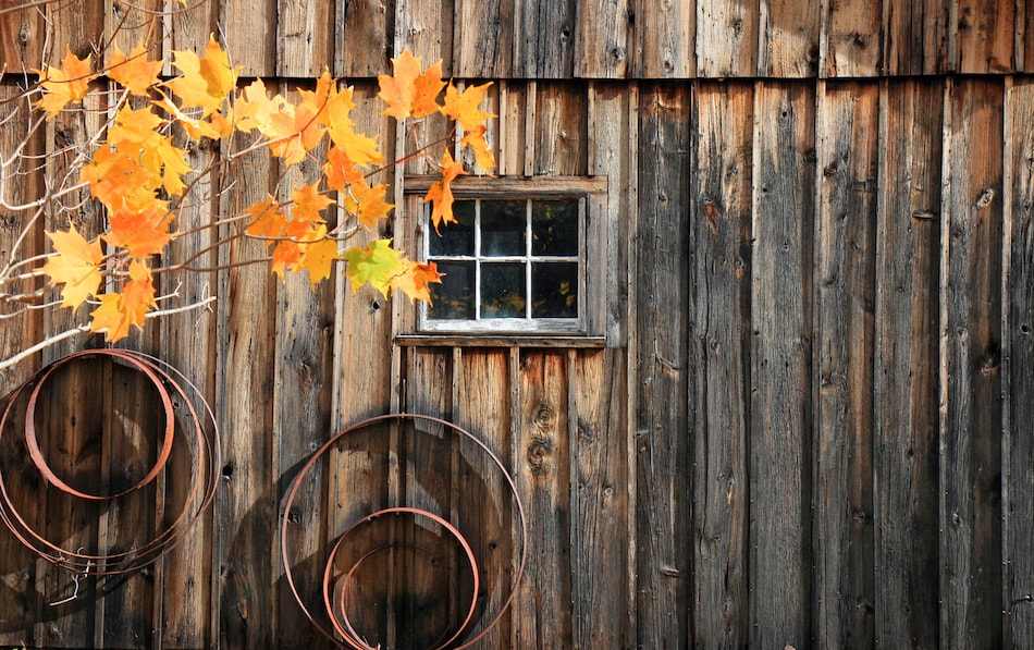 Home With Farm or Shed