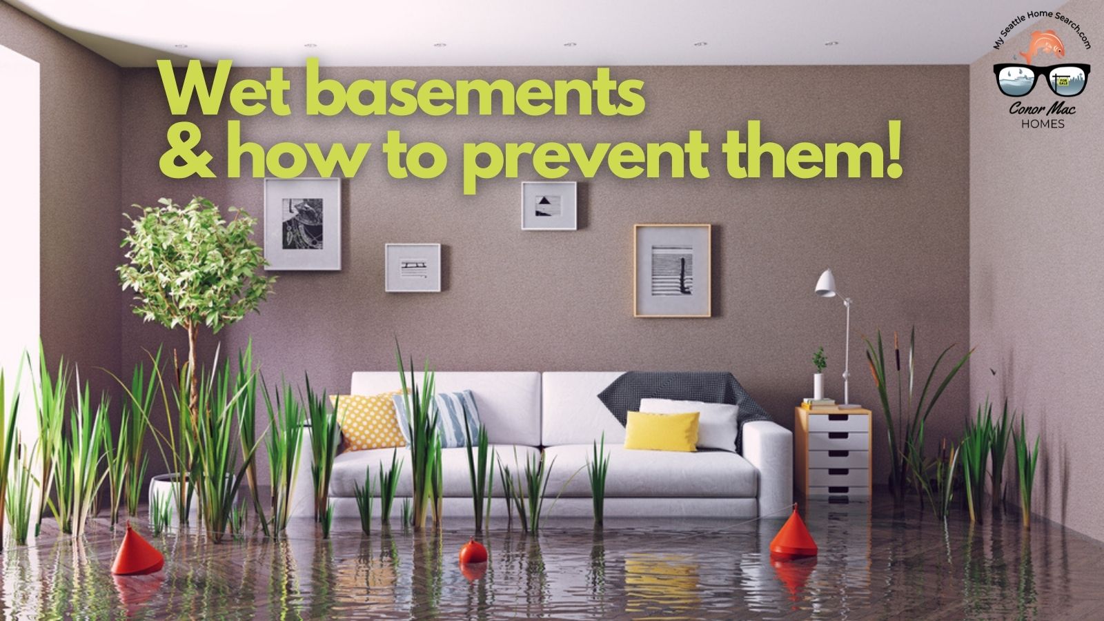 Wet basement solution and prevention