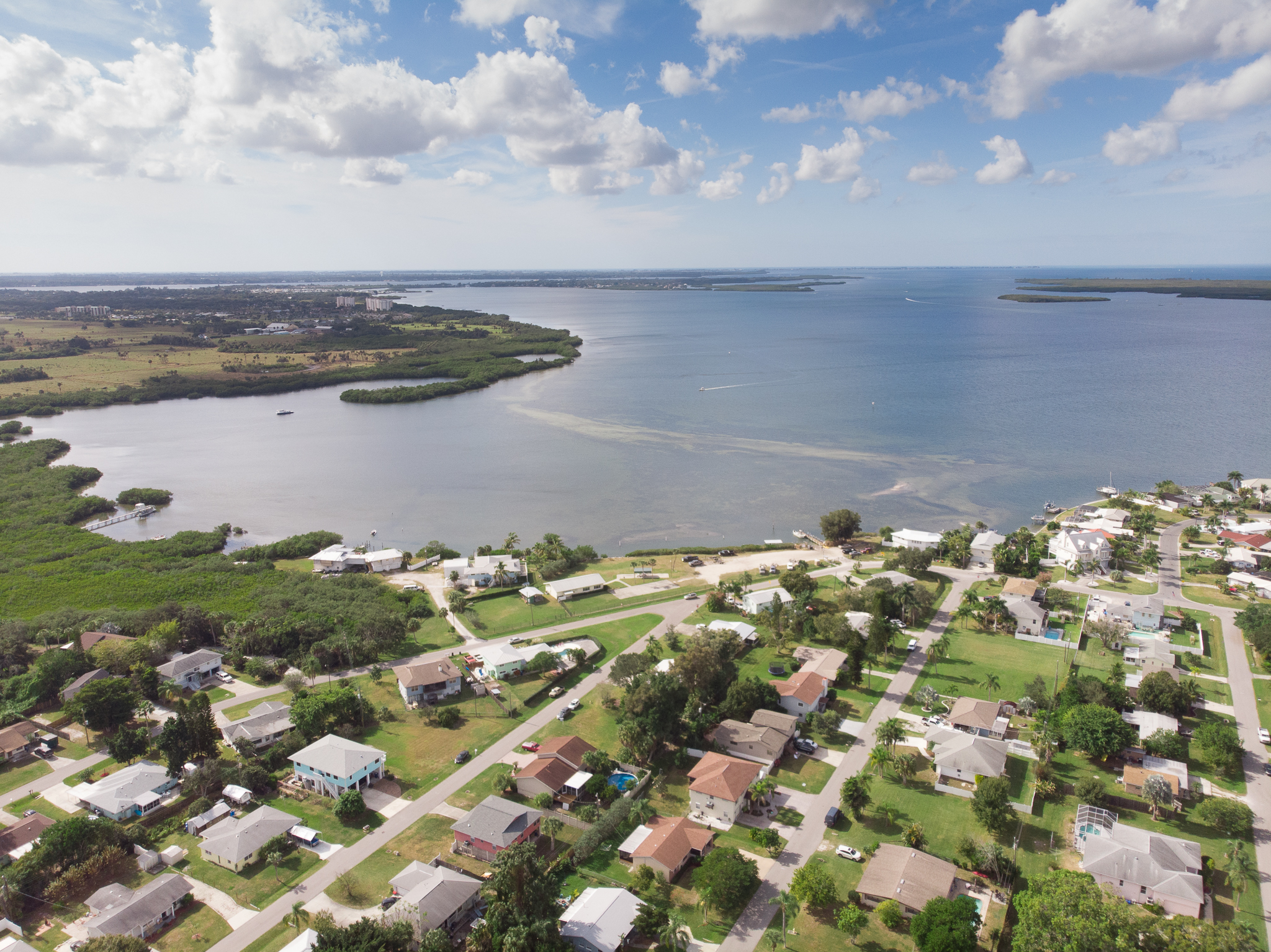 homes for sale in Palmetto Point