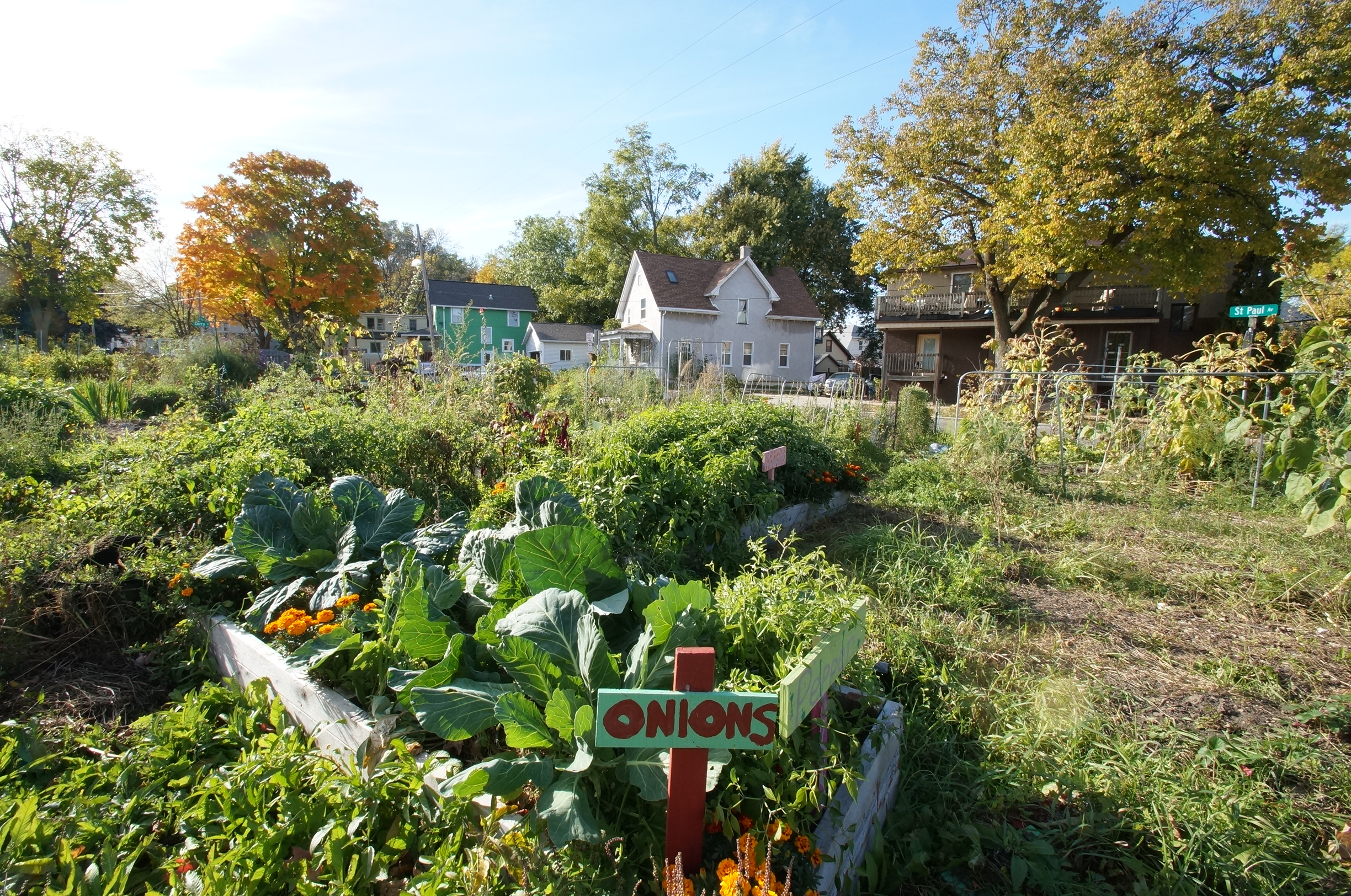 schenk atwood community gardens photo
