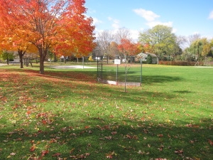 Brentwood Park