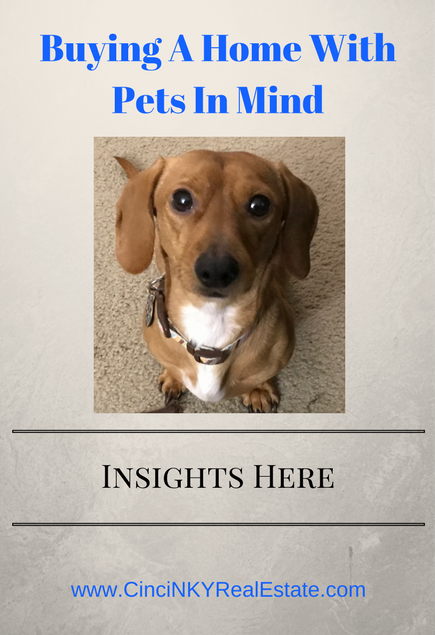 buying a home with pets in mind
