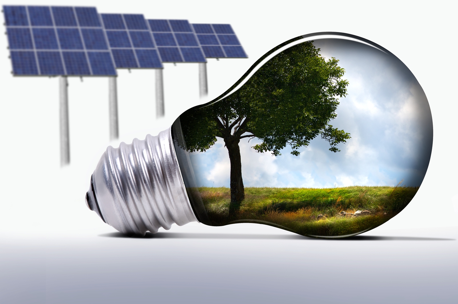 solar panels and a bulb with a green natural scene in it