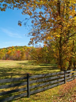 Horse Properties in Paris KY