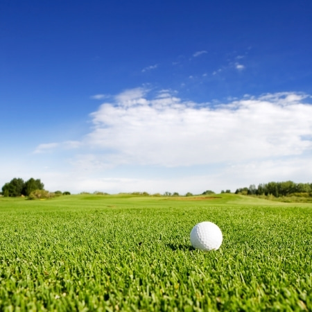 Golf Course Communities in Chicago Suburbs (Golf Homes for Sale) Homes ...