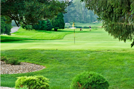 Will County IL Golf Community Homes for Sale
