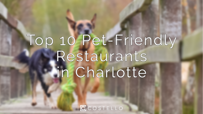 Top 10 Pet Friendly Restaurants in Charlotte NC