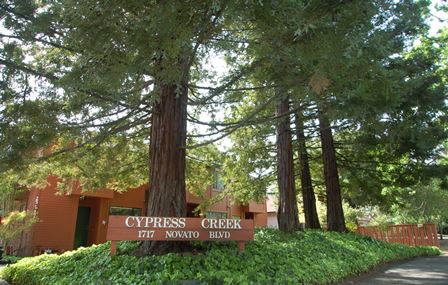 cypress_creek_complex_1717_448
