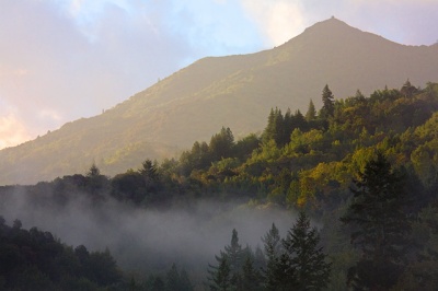 mt.tam_view_400