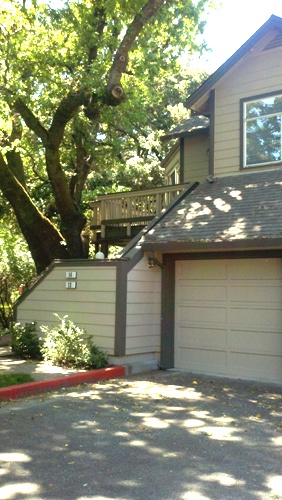 875_tamalpais_ave._14_laura_harlan_picture_of_front_of_home_500 875_tamalpais_ave._14_laura_harlan_picture_of_front_of_home_500