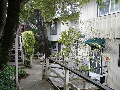 495 Tabor Drive Condos in Scotts Valley