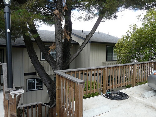 495 Tabor Drive Condos in Scotts Valley
